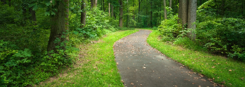 pathhubspotcopy.jpg